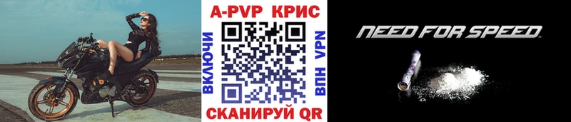 Альфа ПВП СК КРИС Гай