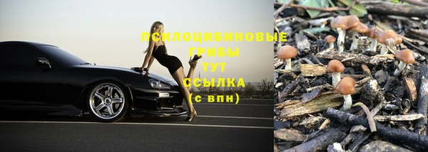 экстази Бородино