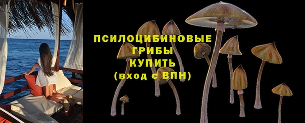 молекула духа Богородицк