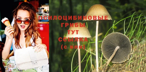 экстази Бородино