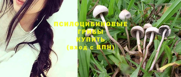 МДПВ Богданович
