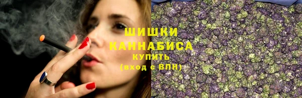 экстази Бородино