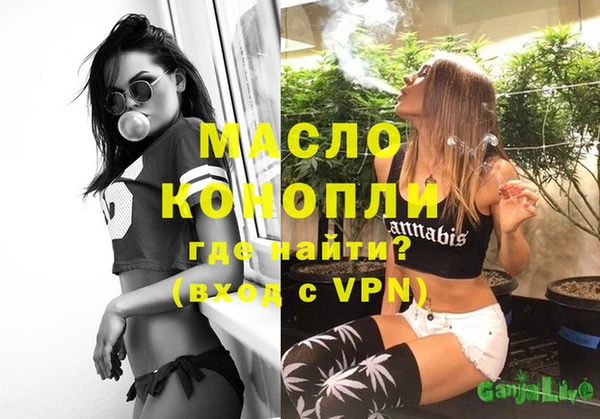 молекула духа Богородицк