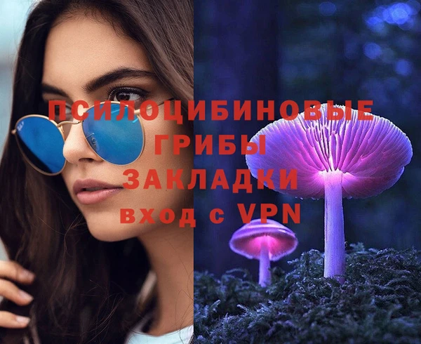 ешки Бугульма
